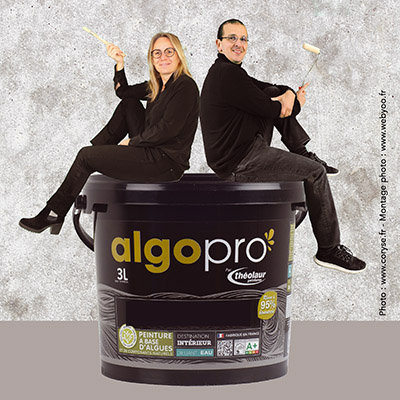 Peinture Algo